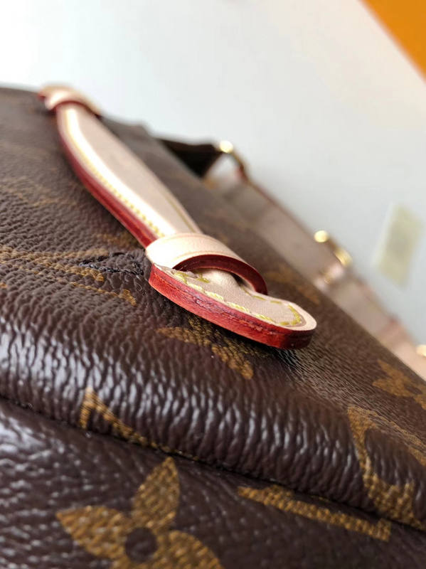 Replica Louis Vuitton Bumbag M43644 - Image 10
