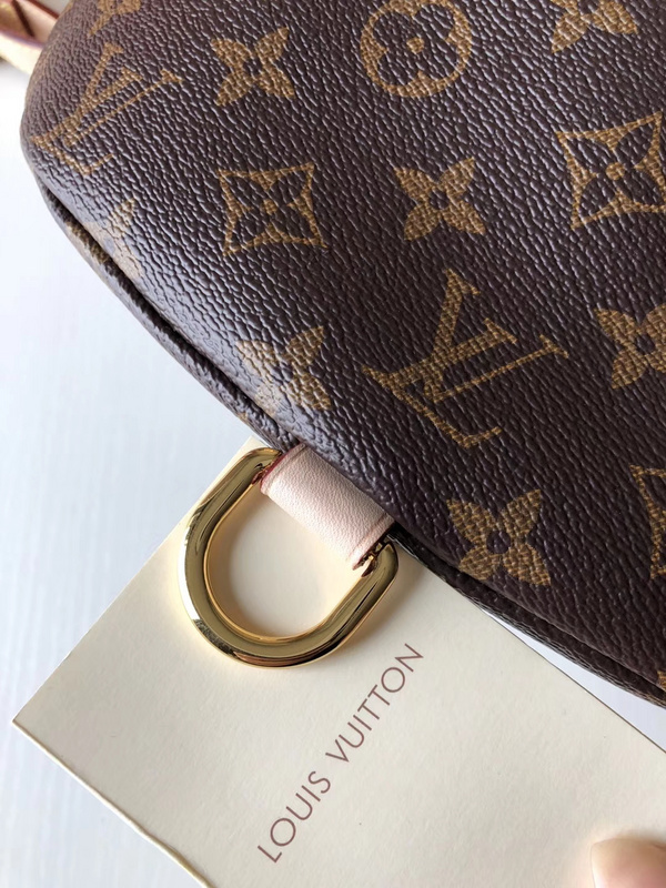 Replica Louis Vuitton Bumbag M43644 - Image 8