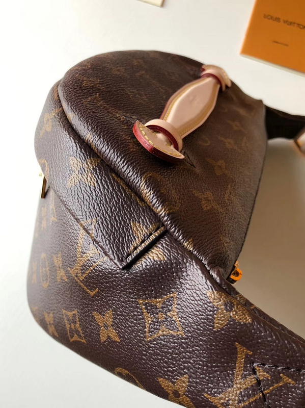 Replica Louis Vuitton Bumbag M43644 - Image 6