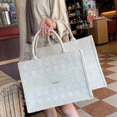 Replica Dior Small Book Tote Multi Colors