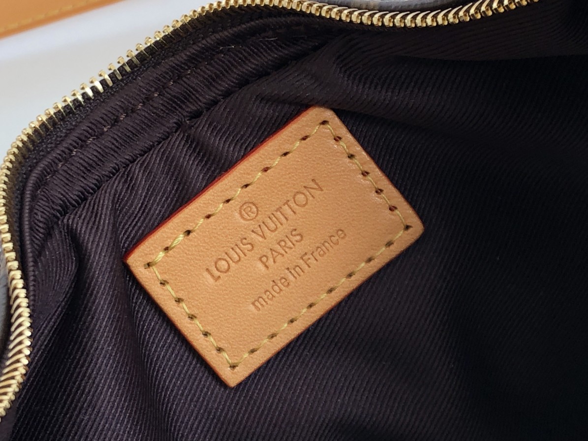 Replica Louis Vuitton Aaa Monogram Loop Handbag - Image 6