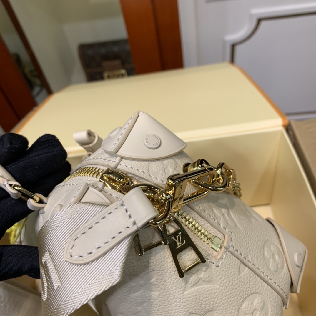 Replica Louis Vuitton Aaa-Petite Malle Souple-M45393 - Image 10