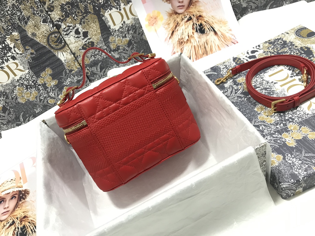 Replica Dior Aaa-Small Travel Vanity Case - Image 14