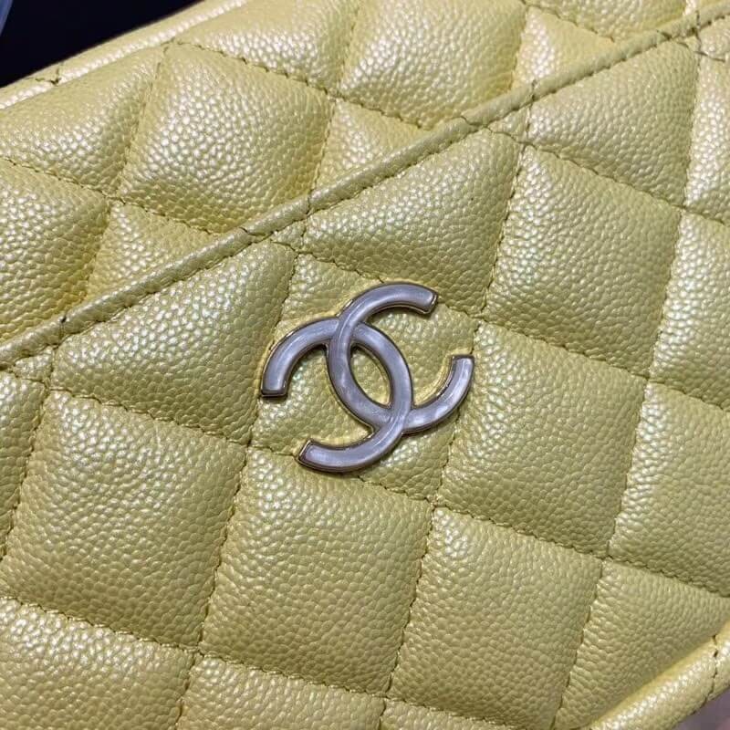 Replica Chanel Camera Case A1003 - Image 4