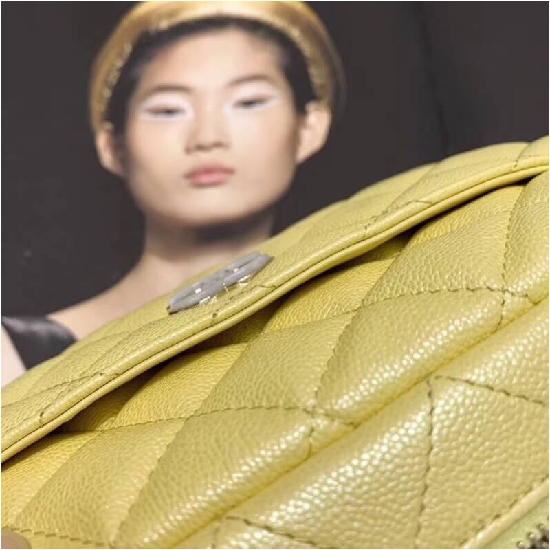 Replica Chanel Camera Case A1003 - Image 7
