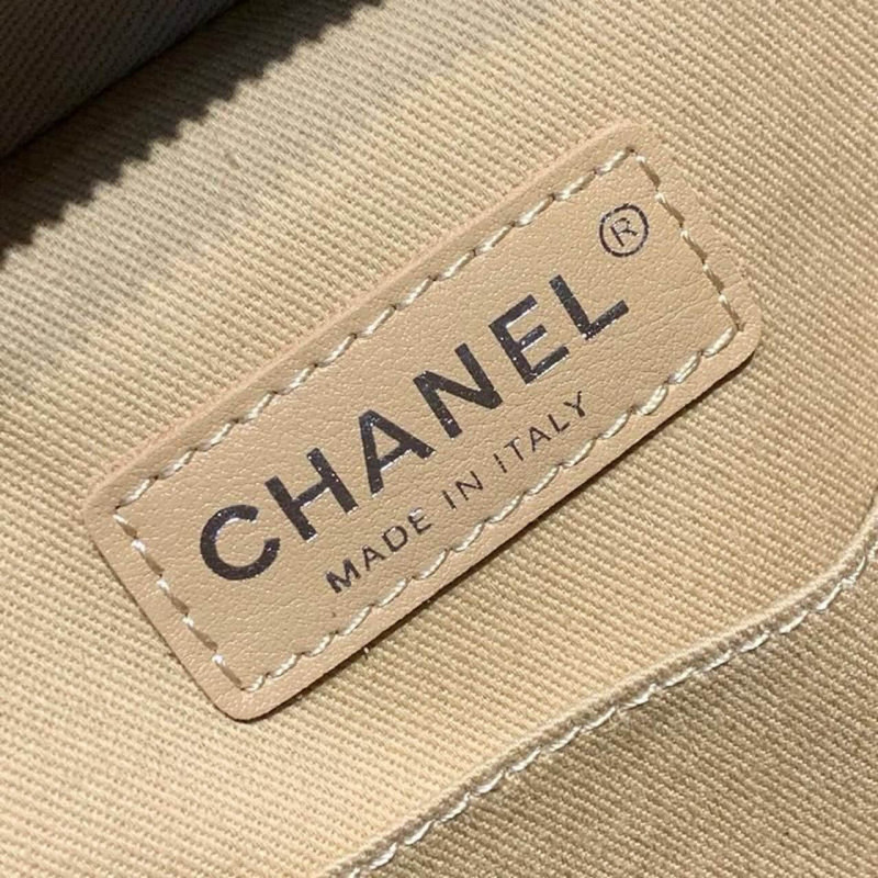 Replica Chanel Camera Case Bag 18Cm As1323 - Image 8