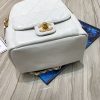 Best Replicas Bags - Chanel Waxy Calfskin CC Day Backpack Bag AS8866 Top Quality Louis Vuitton LV Replica Bags On Sales
