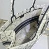 Best Replicas Bags - Dior Book Tote in Latte Multicolor Zodiac Embroidery M1286 Best Louis Vuitton LV Replica Bags On Sales