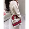 Best Replicas Bags - Dior Medium Lady D-Lite Dioramour Bag Latte Multicolor Dioramour Graffiti Embroidery M0565 Top Quality Louis Vuitton LV Replica Bags On Sales