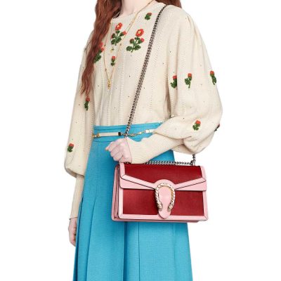 Alternative view of Replica Gucci Dionysus Small Shoulder Bag 400249 Red And Pink Leather