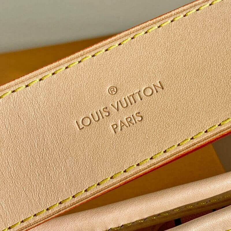 Replica Louis Vuitton Damier Azur Canvas Delightful Mm N41448 - Image 11