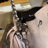 Best Replicas Bags - Louis Vuitton Mahina Leather Bella M57068 Best Louis Vuitton LV Replica Bags On Sales