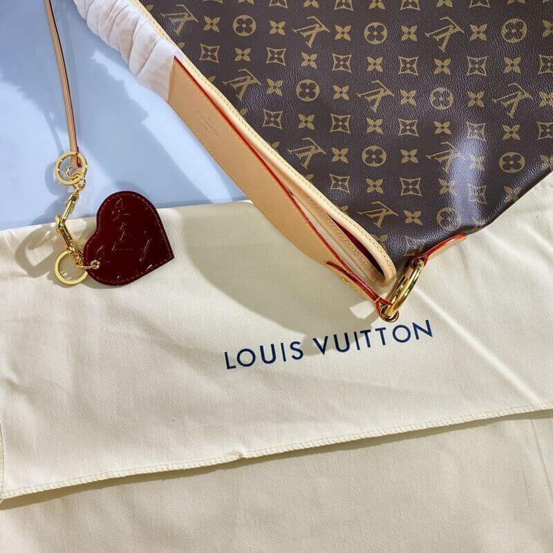 Replica Louis Vuitton Monogram Canvas Delightful Mm M50157 - Image 6