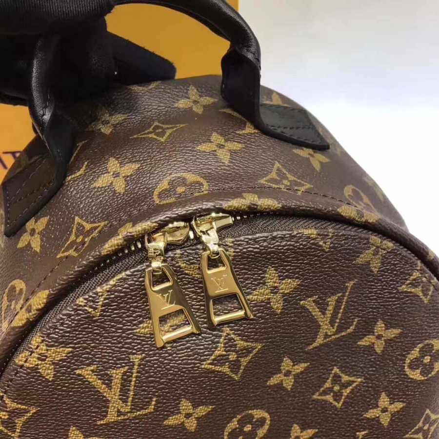 Replica Louis Vuitton Monogram Canvas Palm Springs Backpack Pm M41560 - Image 4