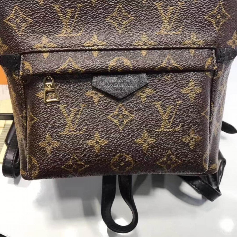 Replica Louis Vuitton Monogram Canvas Palm Springs Backpack Pm M41560 - Image 5