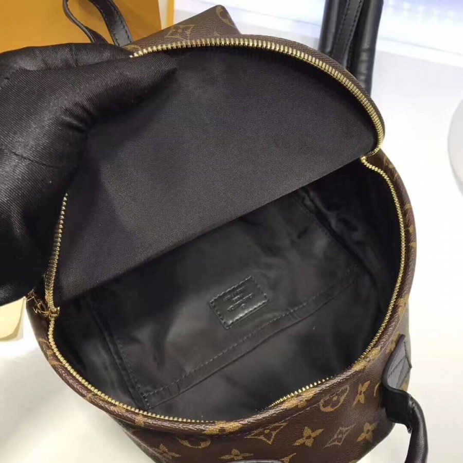 Replica Louis Vuitton Monogram Canvas Palm Springs Backpack Pm M41560 - Image 9