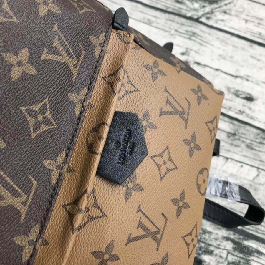 Replica Louis Vuitton Monogram Canvas Palm Springs Backpack Pm M43116 - Image 6