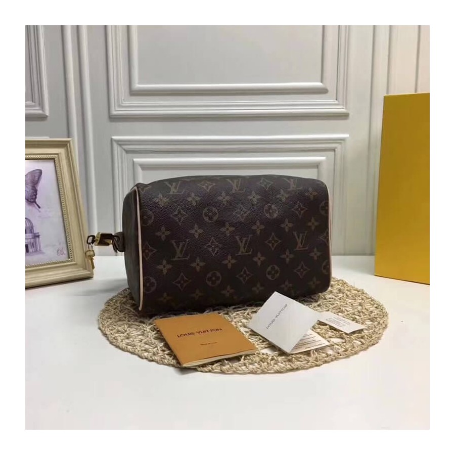Replica Louis Vuitton Monogram Canvas Speedy 25 M41109 - Image 5