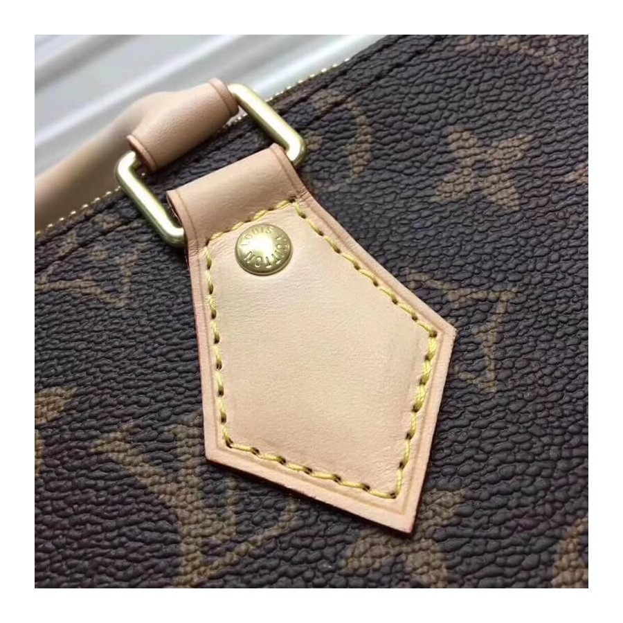Replica Louis Vuitton Monogram Canvas Speedy 25 M41109 - Image 6