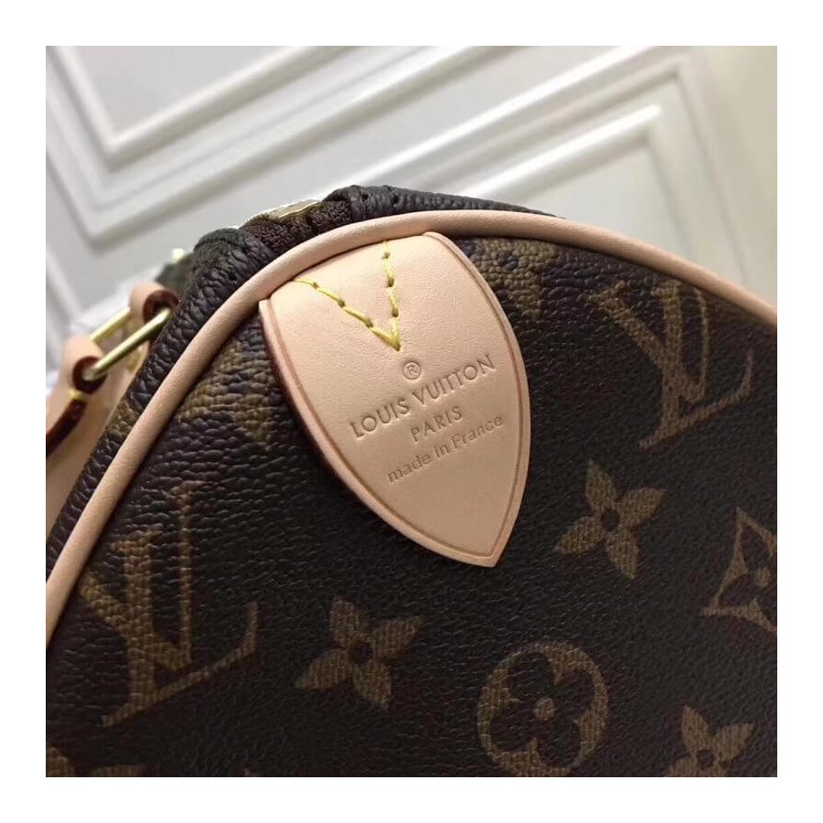 Replica Louis Vuitton Monogram Canvas Speedy 25 M41109 - Image 7