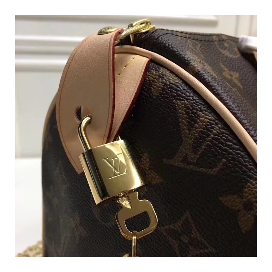 Replica Louis Vuitton Monogram Canvas Speedy 25 M41109 - Image 8
