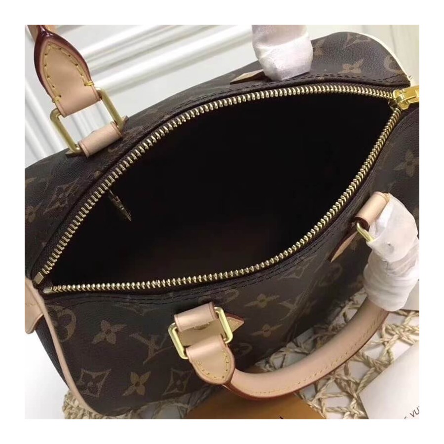 Replica Louis Vuitton Monogram Canvas Speedy 25 M41109 - Image 10