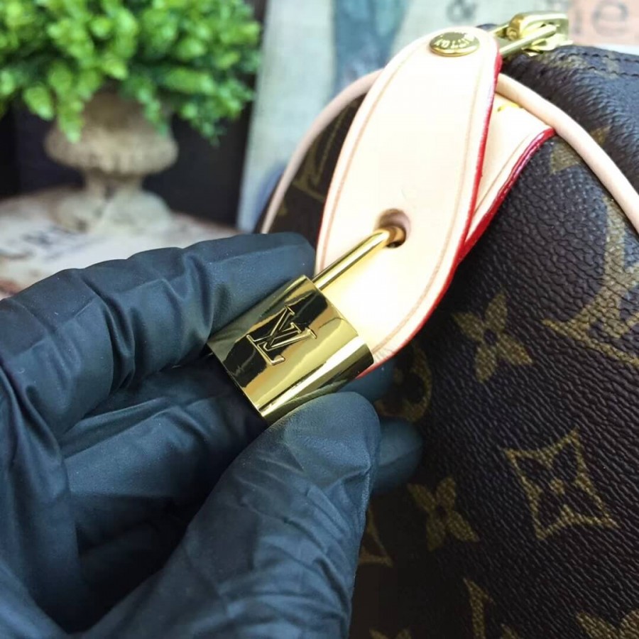Replica Louis Vuitton Monogram Canvas Speedy 35 M41107 - Image 12