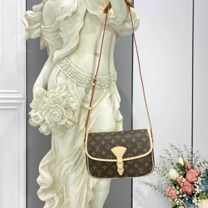 Replica Louis Vuitton Monogram Sologne Shoulder Bag M42250 - Image 5