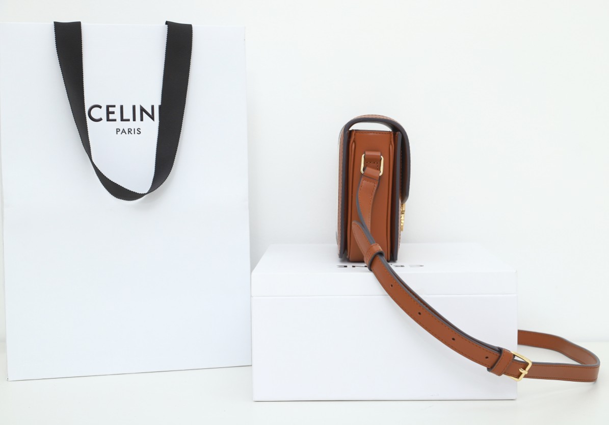 Replica Celine Teen Triomphe Bag In Textile And Calfskin - Image 7