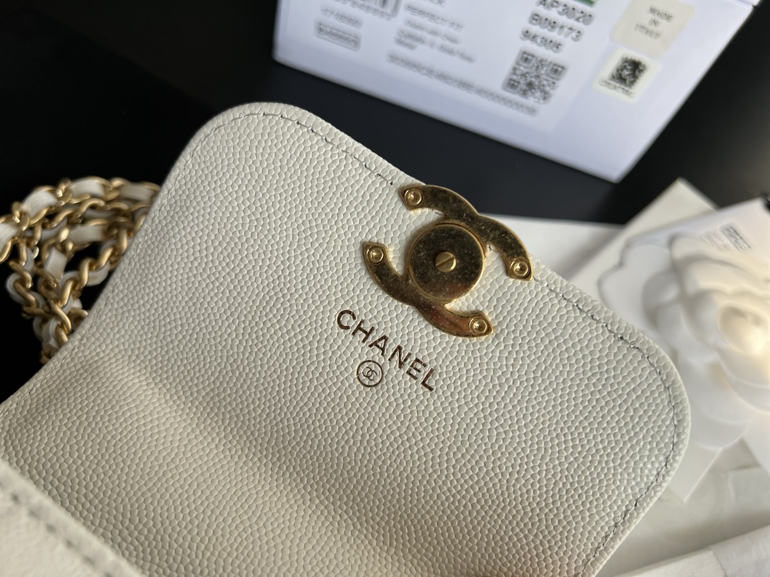 Replica Chanel Clutch With Chain - Image 3